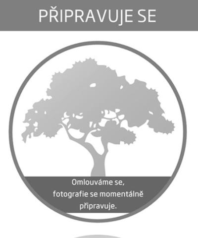 Pseudotsuga menziesii var. Viridis